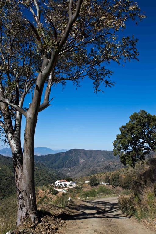 Cortijo Juan Salvador Vendégház Olías Kültér fotó